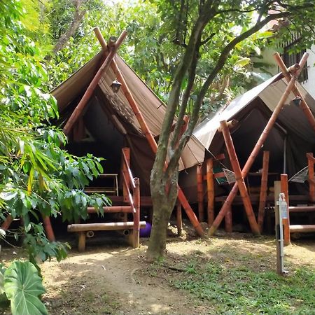 מדיין Bambu Glamping Ecolodge מראה חיצוני תמונה