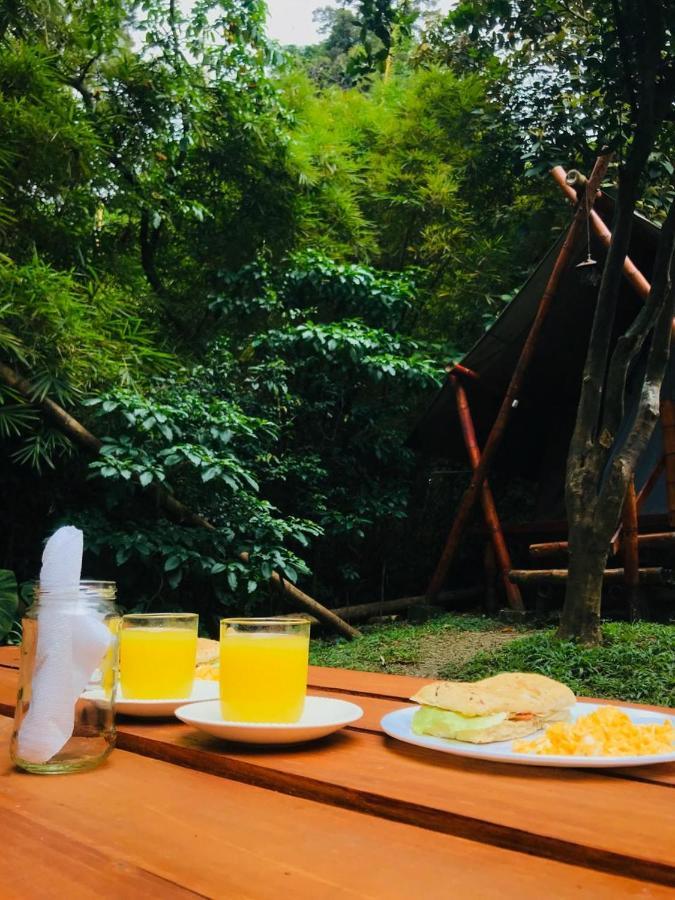 מדיין Bambu Glamping Ecolodge מראה חיצוני תמונה