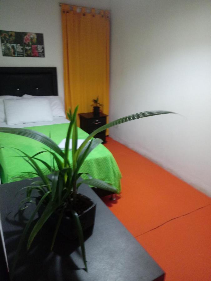 מדיין Bambu Glamping Ecolodge מראה חיצוני תמונה
