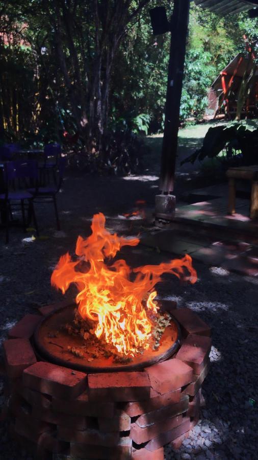 מדיין Bambu Glamping Ecolodge מראה חיצוני תמונה