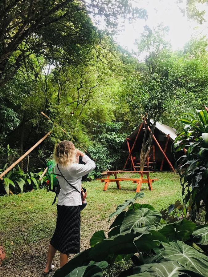 מדיין Bambu Glamping Ecolodge מראה חיצוני תמונה