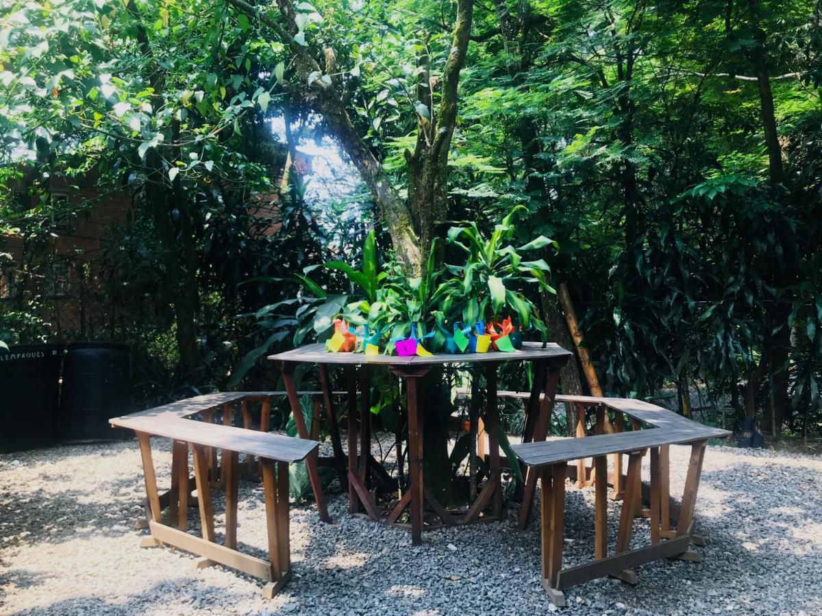 מדיין Bambu Glamping Ecolodge מראה חיצוני תמונה